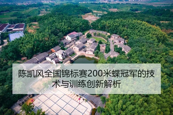 陈凯风全国锦标赛200米蝶冠军的技术与训练创新解析